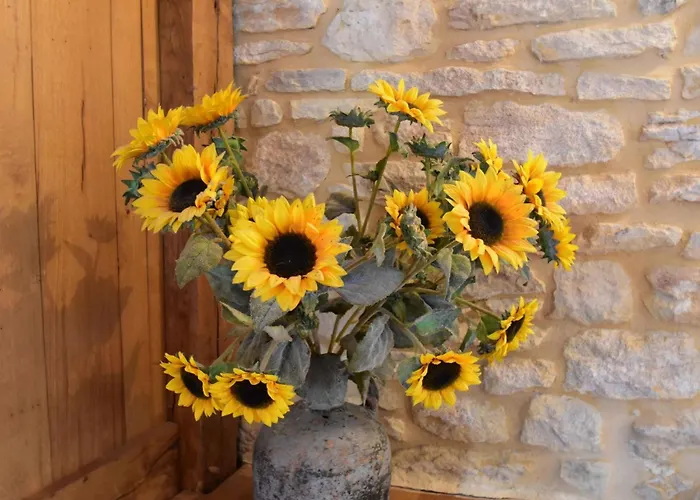 Maison De Le Pigeonnier *